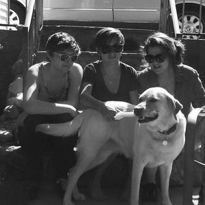 Team Page: Team Trentanove